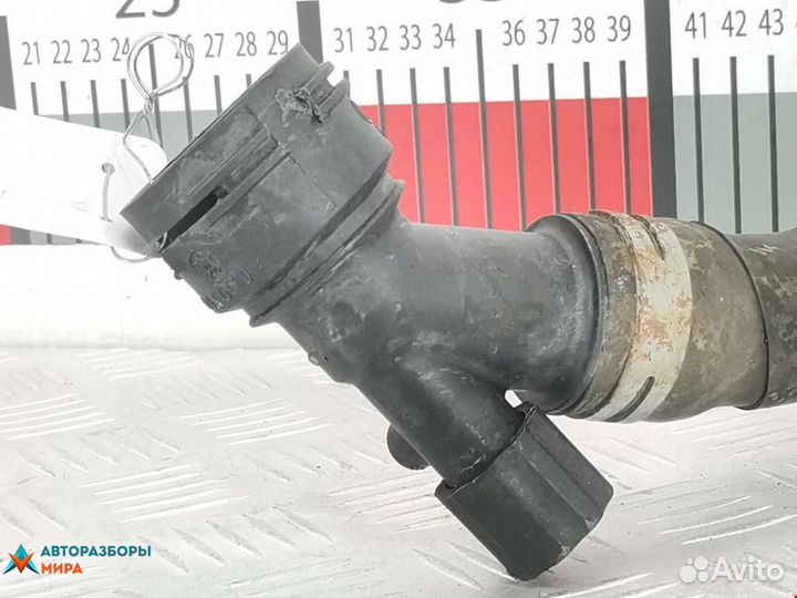 Патрубок радиатора Volkswagen Polo 4 2004