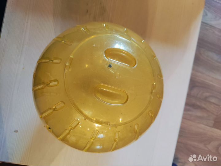 Шар для грызунов 25 см