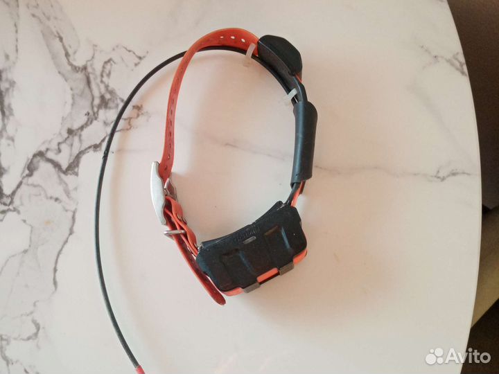 Garmin ошейник DC 50
