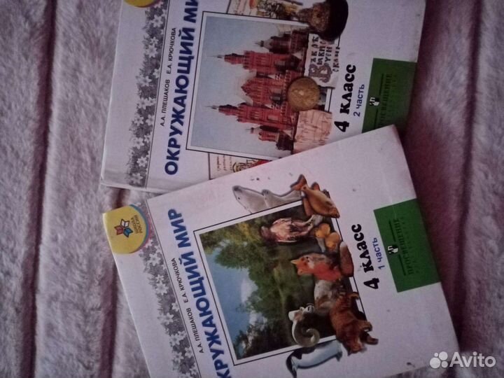 Окруж. мир,христом, 2-3клОкружающий мир 4кл,А.А.Пл