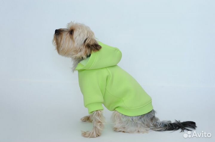 Одежда для собак и кошек