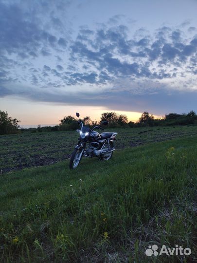 Альфа scout 110