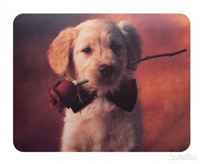 Коврик для мыши Buro BU-M40089