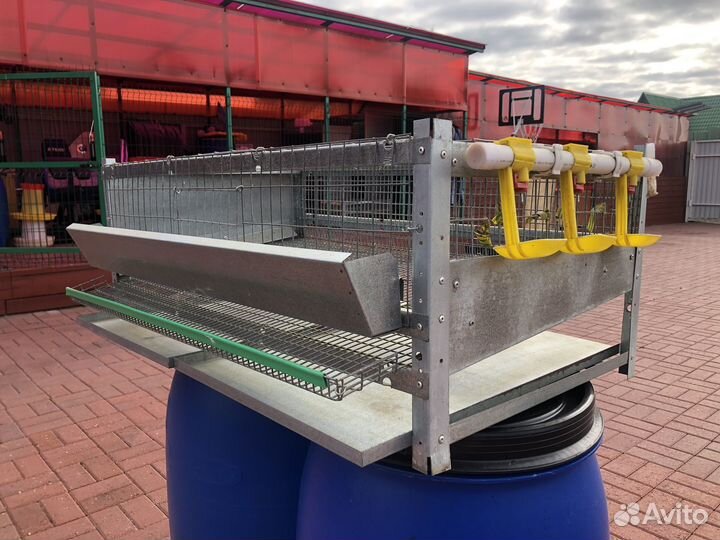 Клетка для перепелов