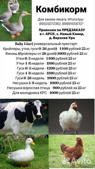 Комбикорм птицы, крс. Доставка