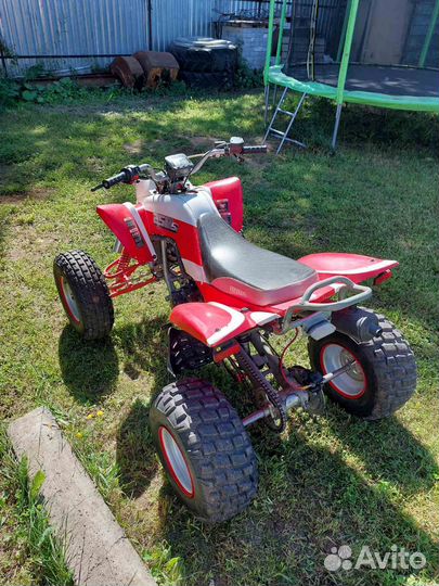 Спортивный квадроцикл 250кубов