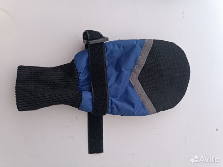 Обувь для собак