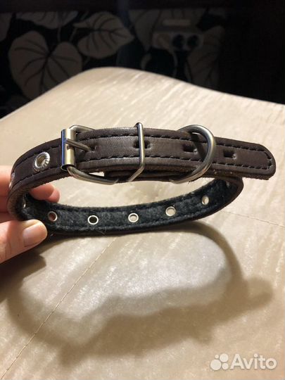 Ошейник для собаки