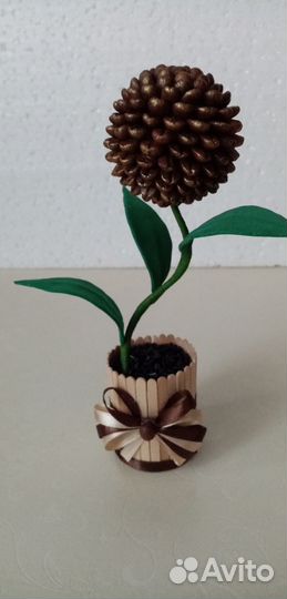 Топиарий из кофейных зёрен