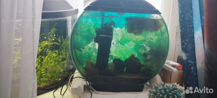 Аквариум