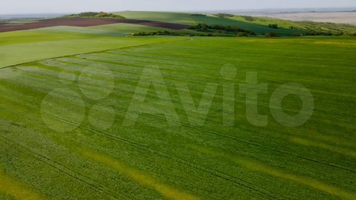 Участок 6,8 га (СНТ, ДНП)