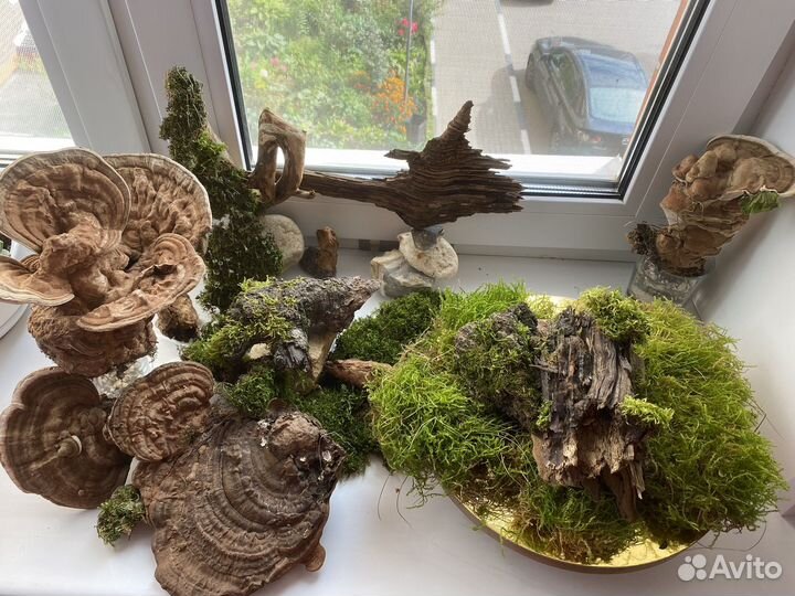 Для террариума
