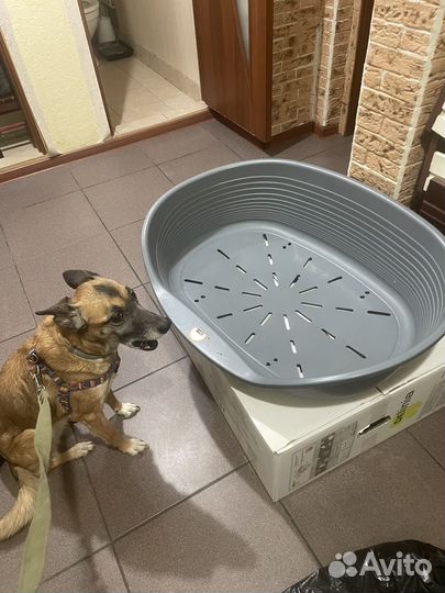 Лежанка для собаки