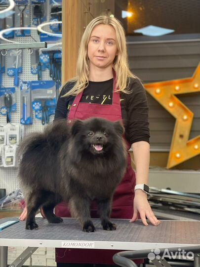 Груминг / стрижка собак и кошек