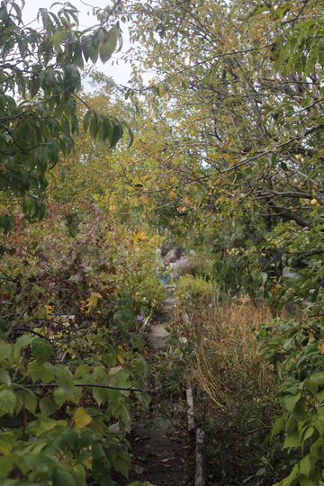 Участок 7 сот. (СНТ, ДНП)