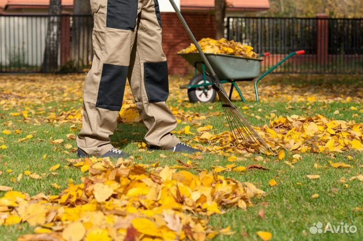 Помощь по дому