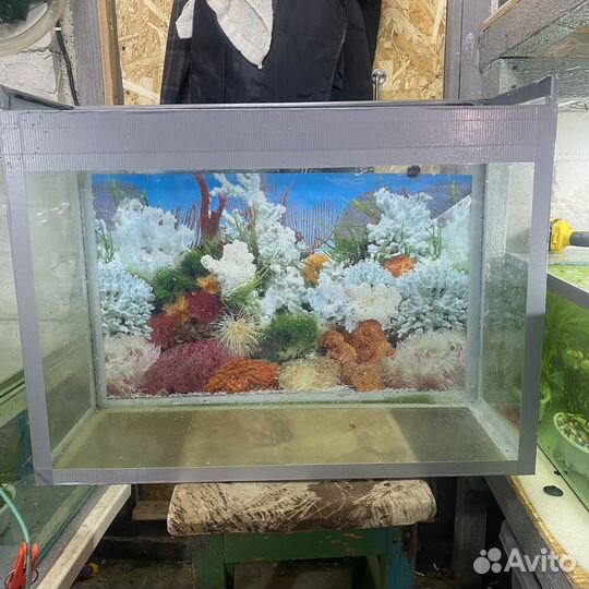 Аквариум
