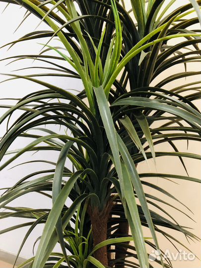 Искусственное дерево