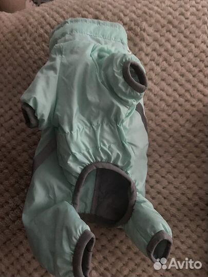 Вещи для маленьких собак