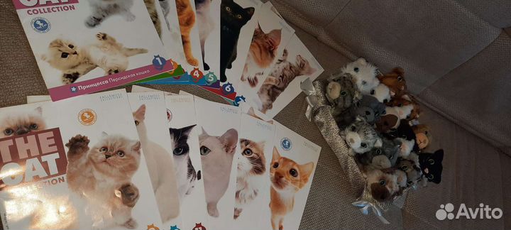 Коллекция журналов и мягких игрушек кошек