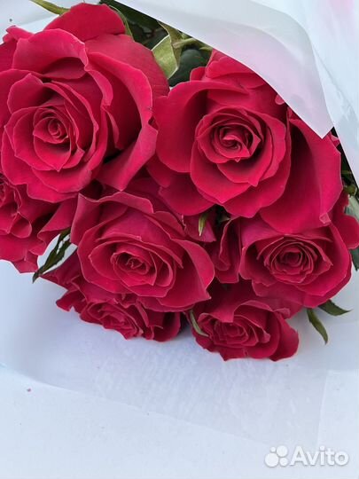 Цветы розы и букеты с доставкой живые