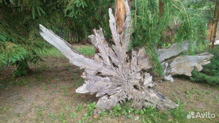 Коряги декоративные