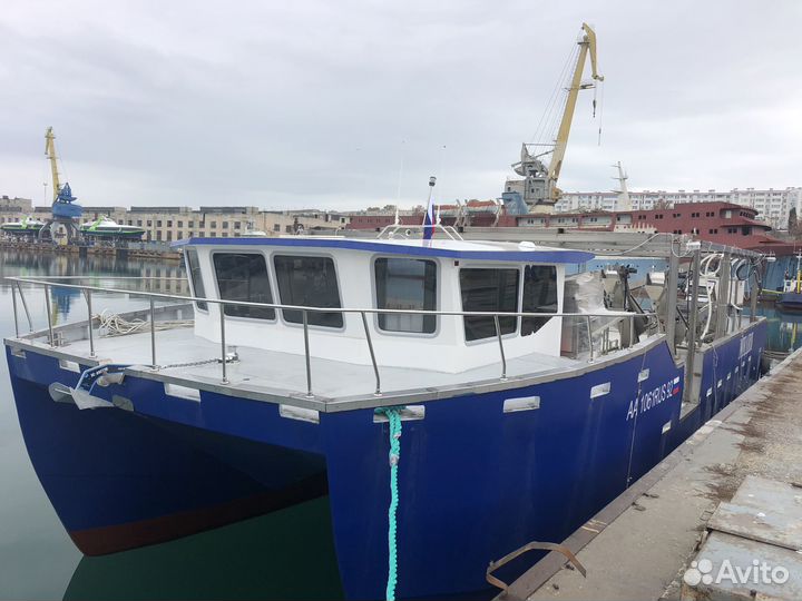 Мидия Устрица Аква ферма