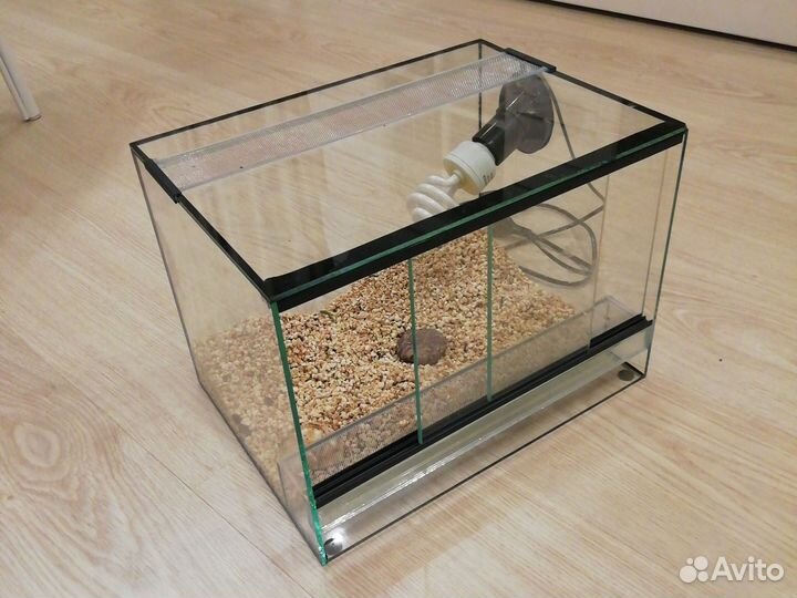 Террариум для рептилий и пауков