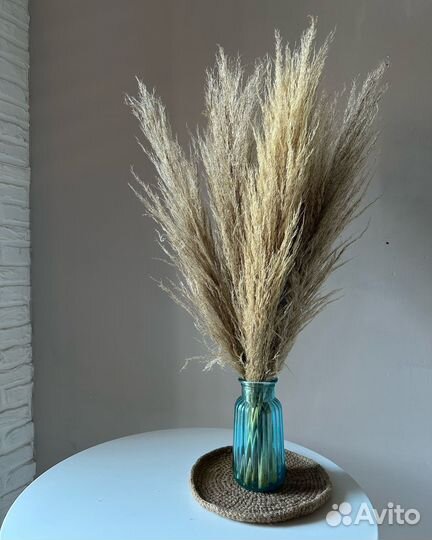 Пампасная трава натуральная