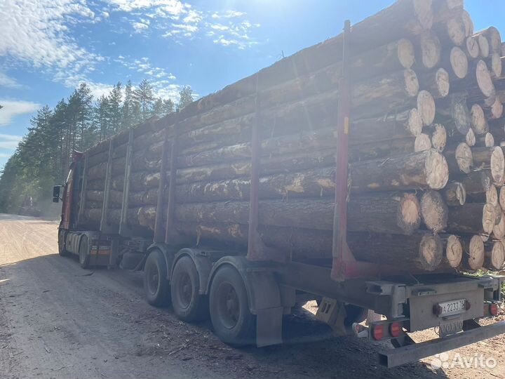 Пиловочник Лес кругляк Доставка