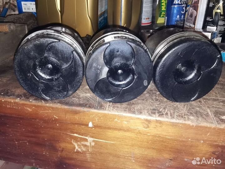 Поршни Газ 560