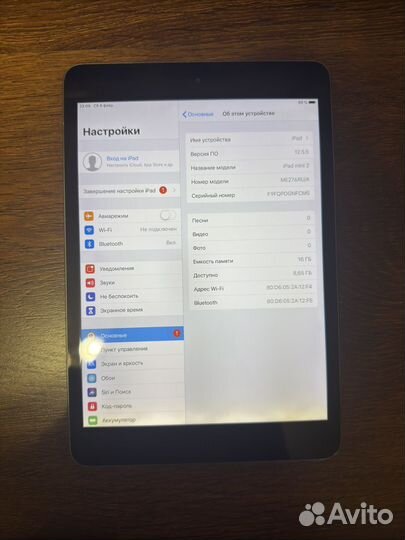 iPad Mini 2