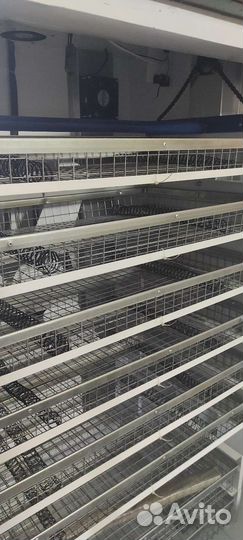 Инкубатор для яиц 