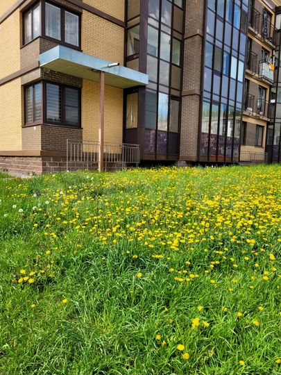 Квартира-студия, 21 м², 6/8 эт.