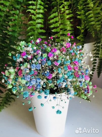 Цветочный аккаунт