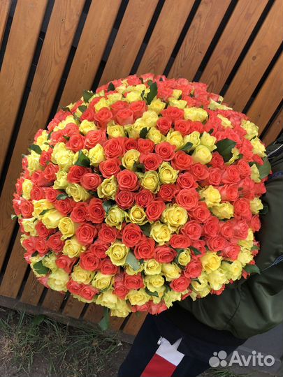 Букет голландских роз 101 шт