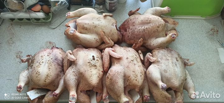 Продам мясо бройлеров