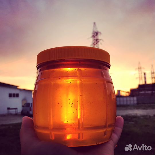Мёд с личной пасеки