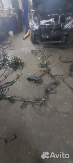 Жгут проводов двигателя Volkswagen Phaeton 3D8 BGH