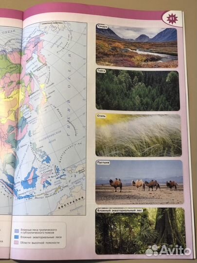 Атлас по географии 7 класс (новый)