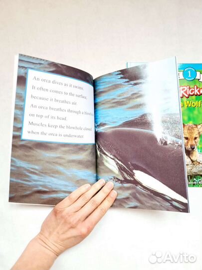 Новые книги на английском языке