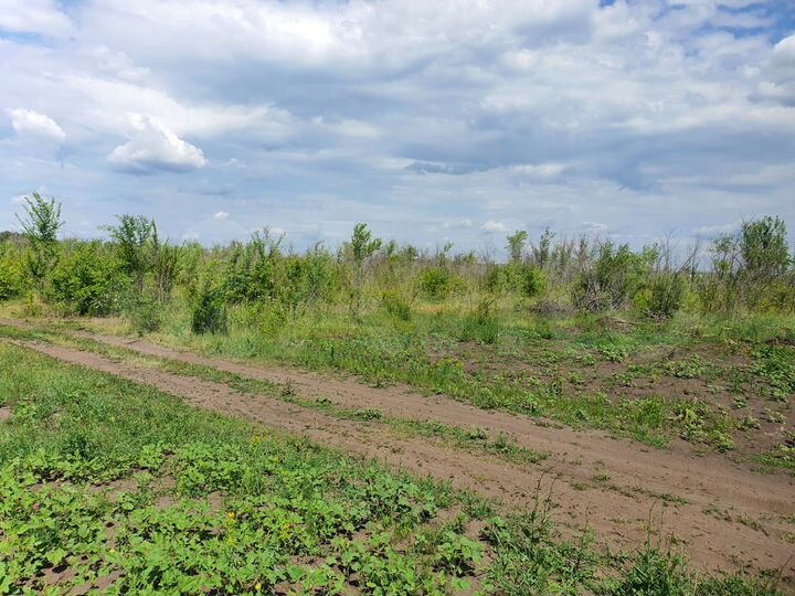 Участок 5 га (ИЖС)