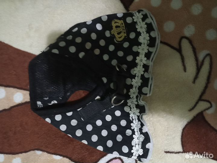 Шлейка для маленькой собачки