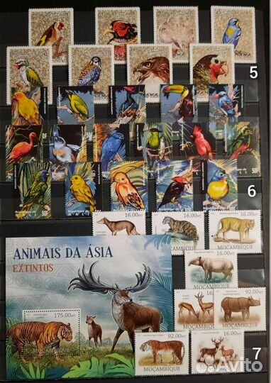 Коллекция марок фауна 60-90х 3 чистые