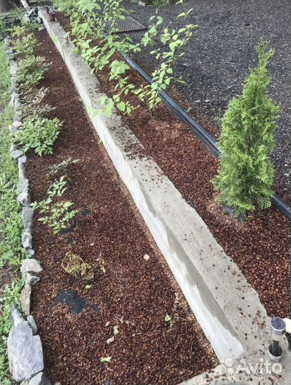 Шелуха кедрового ореха