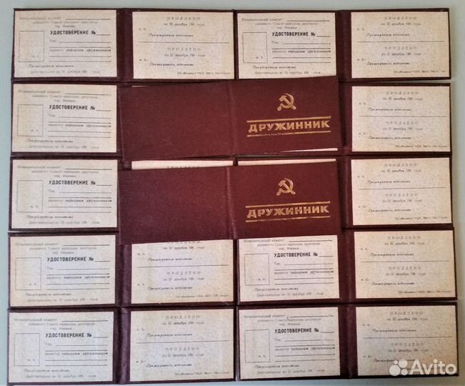 Удостоверение дружинника 1985 г. СССР чистый бланк