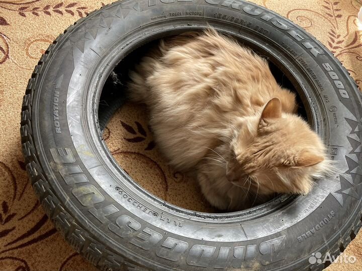 Bridgestone Ice Cruiser 5000 185/65 R15