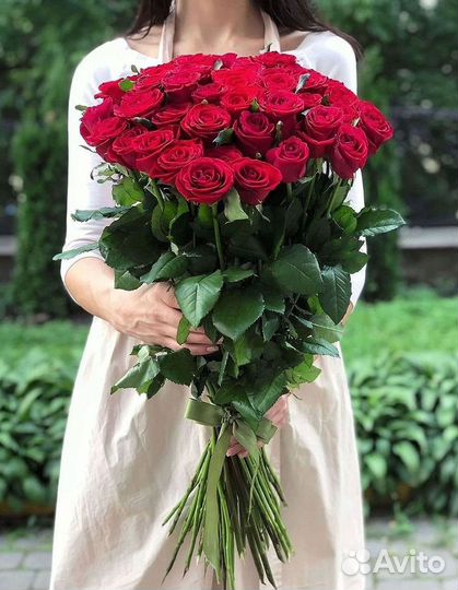 Букет роз 101 роза 51 роза