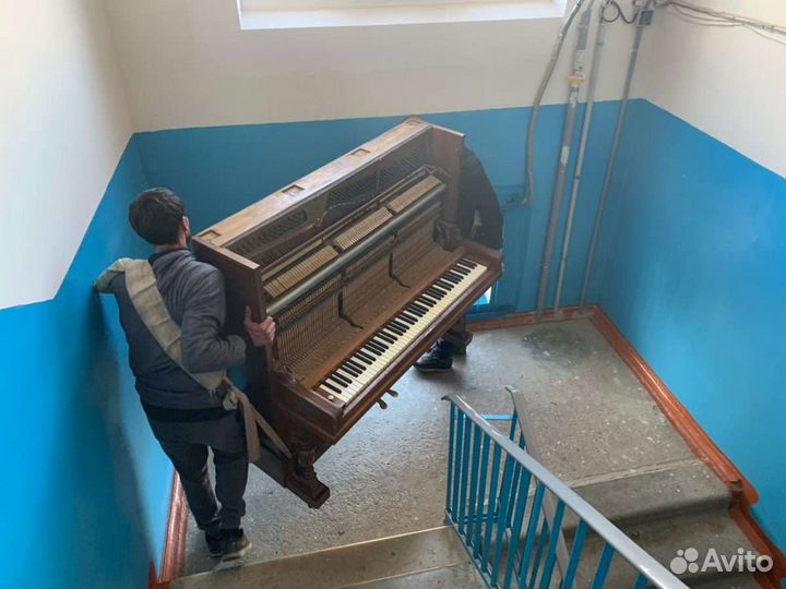 Пианино или фортепиано