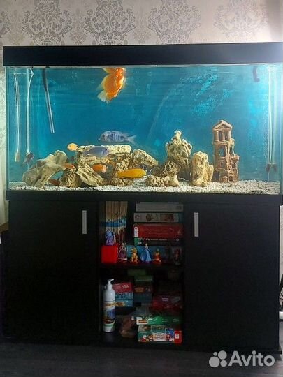 Аквариум с тумбой 300 литров